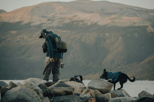 Leave No Trace: How to Camp Responsibly and Protect Our Wild Places
